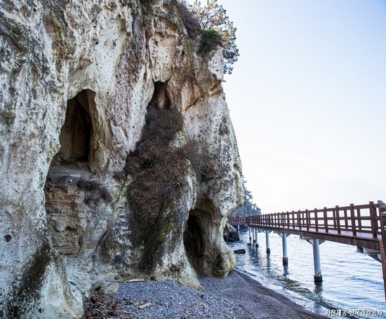 둘레길 따라 걷다보면 “여기가 바로 천상” 포항 당일여행(호미반도코스)
