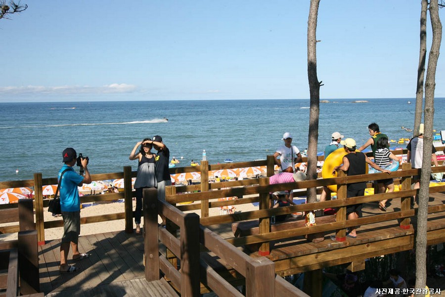 주말 강원도 나들이! 평창&강릉 당일여행