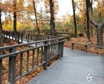 무장애 숲길여행! 서울 당일여행