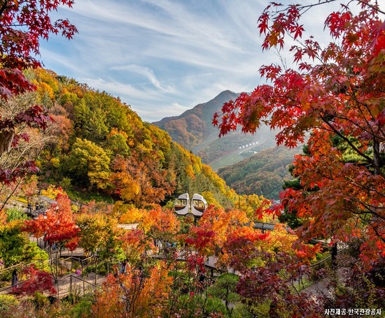 수도권 최고의 친환경 청정도시! 광주 당일여행