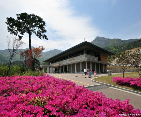 지리산 자락 함양·산청으로 떠나는 여행! 산청&함양 당일여행