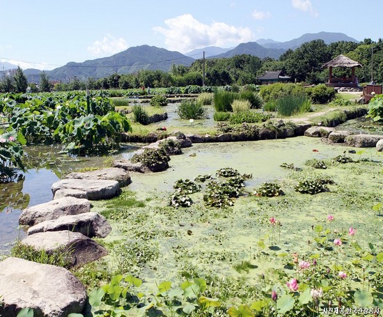 지리산 자락 함양·산청으로 떠나는 여행! 산청&함양 당일여행